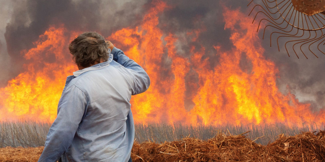 Incêndios em São Paulo Podem Gerar Prejuízo de Até R$ 350 Milhões para Produtores de Cana-de-Açúcar