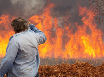 Incêndios em São Paulo Podem Gerar Prejuízo de Até R$ 350 Milhões para Produtores de Cana-de-Açúcar