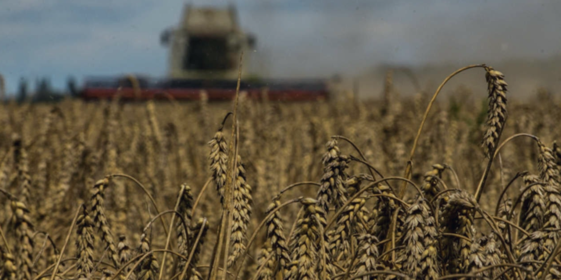 Fiagros disparam 315% em dois anos