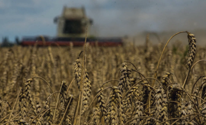 Fiagros disparam 315% em dois anos