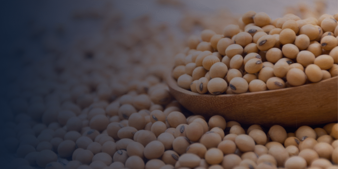 Tensão entre China e EUA pode abrir espaço bilionário para a soja brasileira