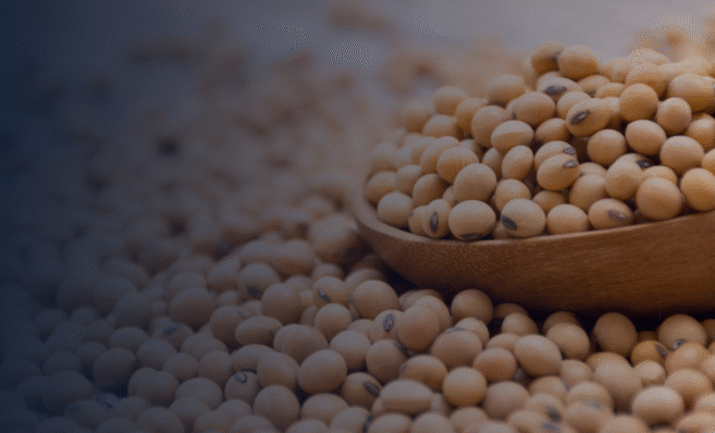 Tensão entre China e EUA pode abrir espaço bilionário para a soja brasileira