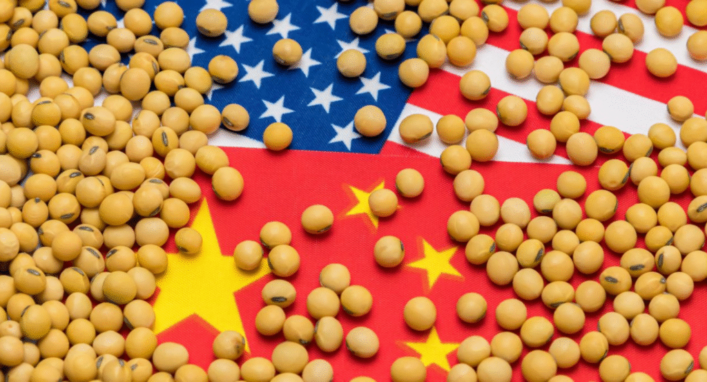 Como a soja virou peça central na disputa comercial entre EUA e China ...