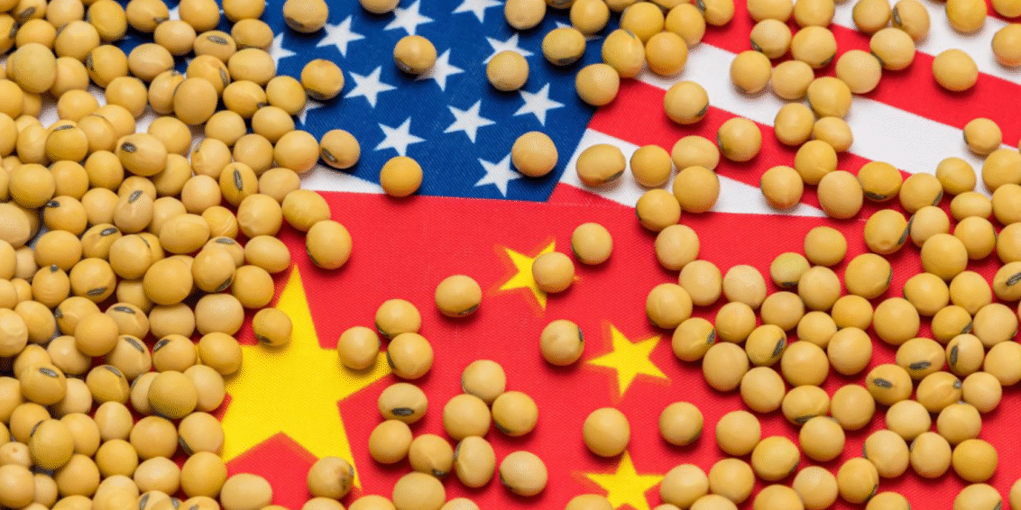 Como a soja virou peça central na disputa comercial entre EUA e China