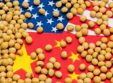 Como a soja virou peça central na disputa comercial entre EUA e China